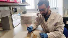 Este investigador aplica a caliza del Puerto de Santa María las nanopartículas de hidróxido de calcio dopadas con puntos cuánticos.