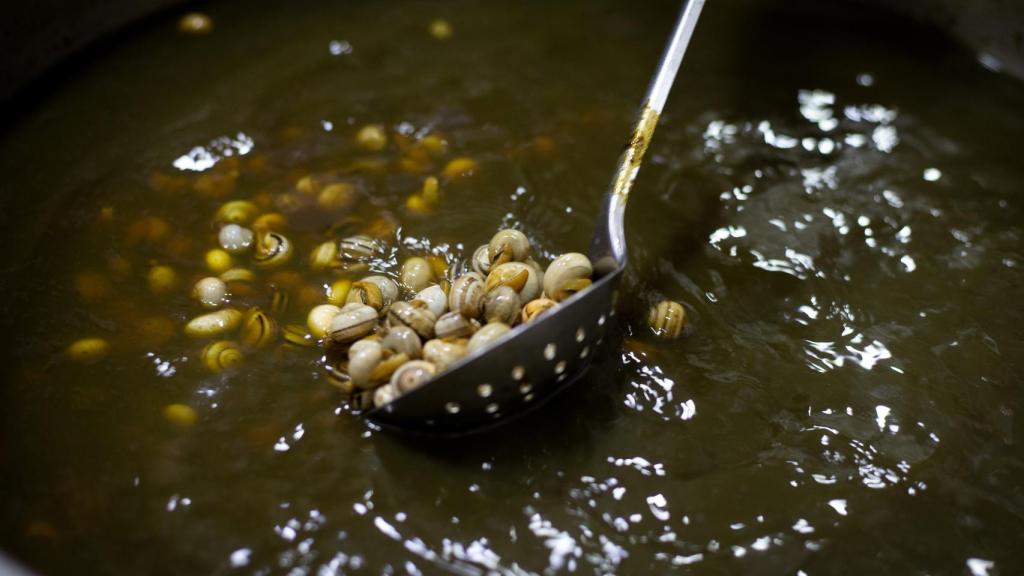 Caracoles blanquillos en una olla listos para servir con una receta casera.