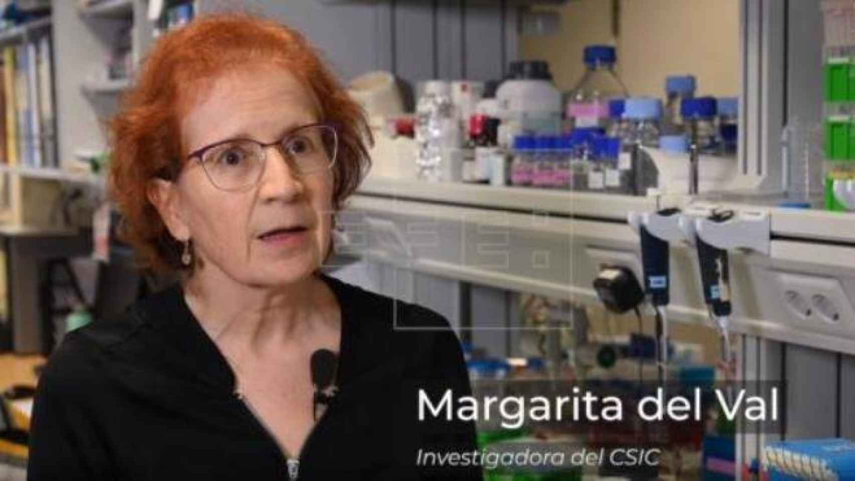 Margarita del Val, investigadora del CSIS