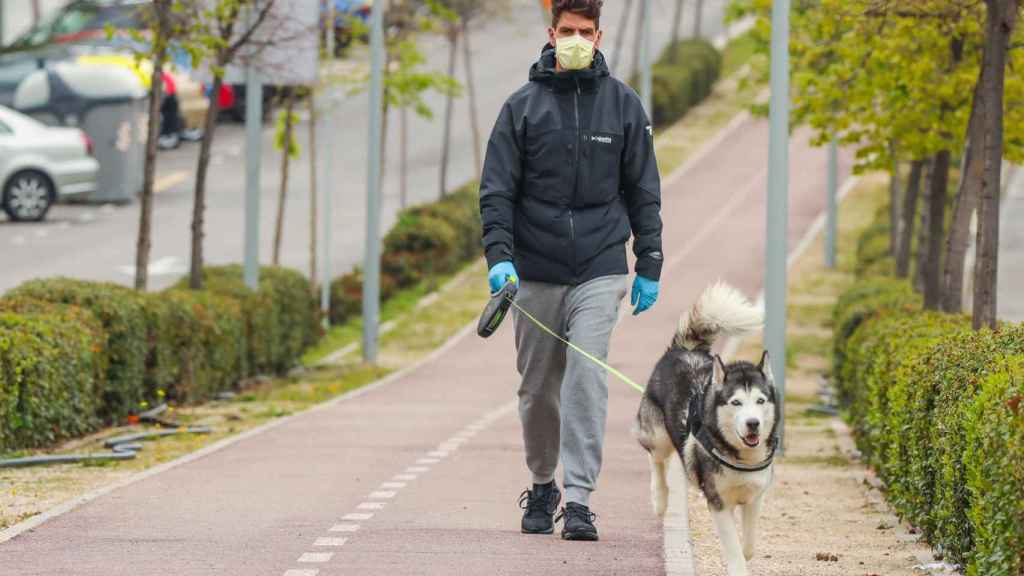 Diego Matamoros paseando a su perro mientras tenía el coronavirus.