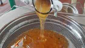 Extracción en frío de la miel de un apicultor.  Foto: EVA GONZÁLEZ/EUROPA PRESS - Archivo