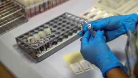 Los muertos por coronavirus en España repuntan: 244 más y 220.325 contagiados en total