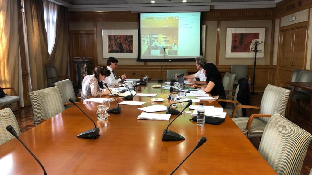 El Comité de Sanidad en el 'examen' a Castilla-La Mancha para evaluar las fases de sus provincias.