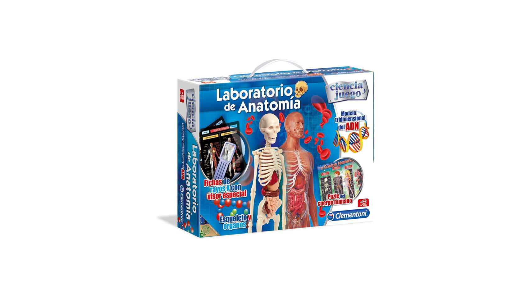 Laboratorio de anatomía