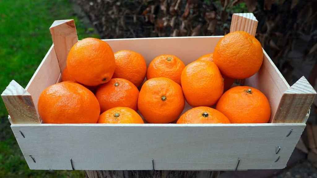 Una naranja puede aportar hasta el 15% de la cantidad diaria recomendada de esta vitamina.