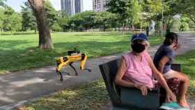 Los perros robóticos de Boston Dynamics andan por uno de los parques de Singapur