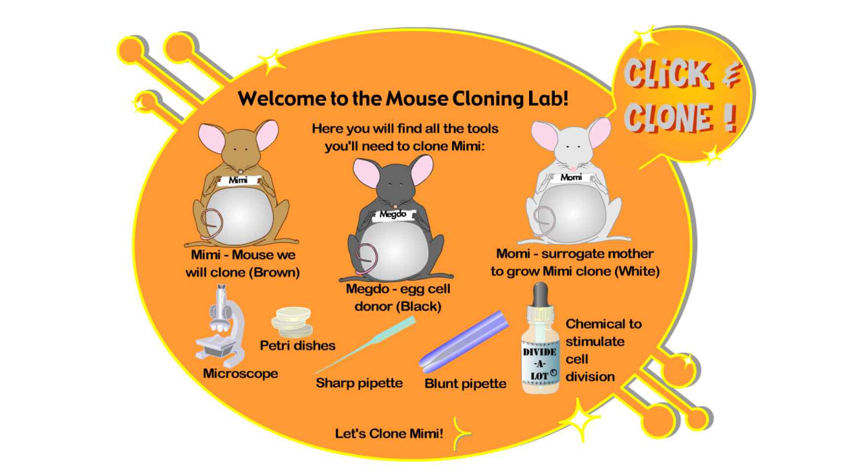Simulador Clona tu propio ratón. Universidad de UTAH