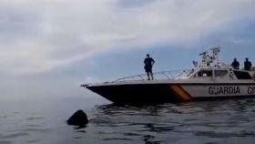 El vídeo del tiburón peregrino de ocho metros que ha atemorizado a la Guardia Civil en Granada