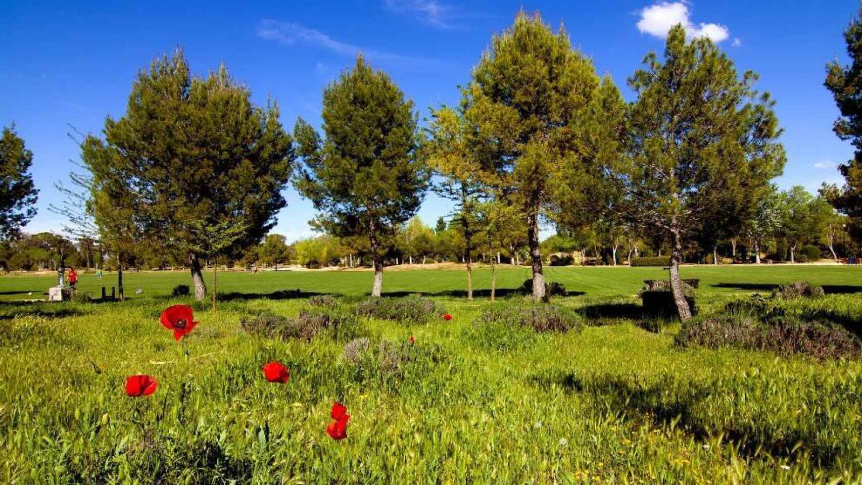 El parque de La Pulgosa, en Albacete