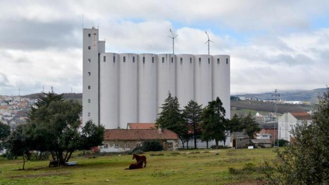 Castilla y León