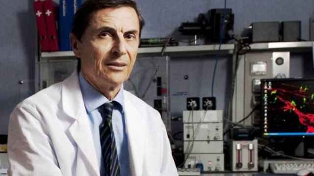 La fórmula 0-5-30 que recomienda el doctor Alberto Mantovani nos protege del coronavirus