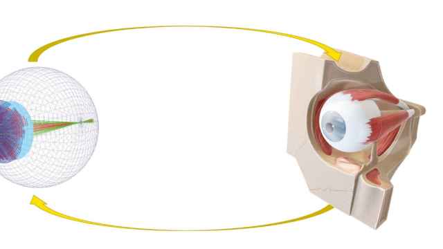 Un ojo digital en 3D simulará la calidad visual de los pacientes con defectos refractivos
