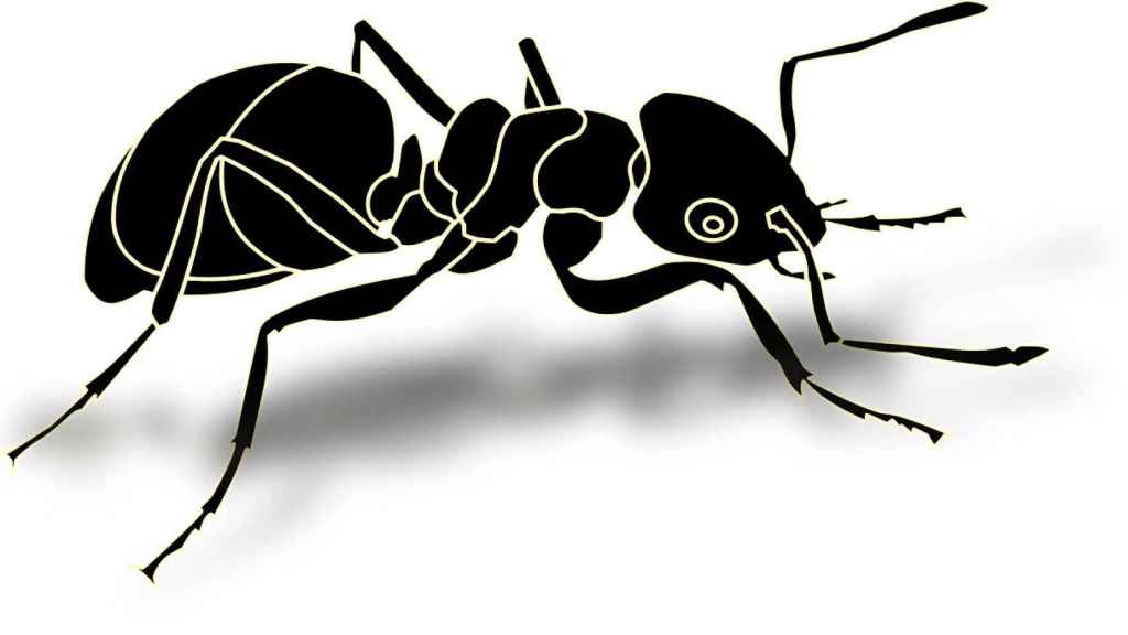 ¿Vivan los Estados cigarras, mueran los Estados hormigas?