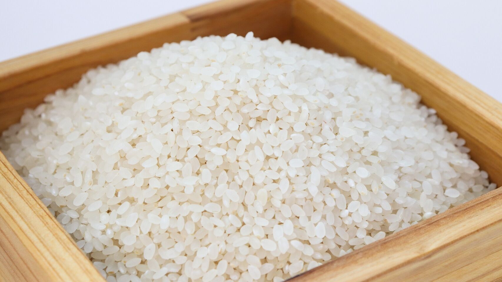 arroz paella