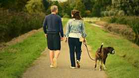 Una pareja pasea con su perro.