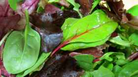 Compost biofertilizante para verduras con más vitaminas y antioxidantes