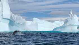 Las pruebas iniciales de la tecnología se han realizado en la Antártida, en una expedición dirigida por el investigador Michel André.
