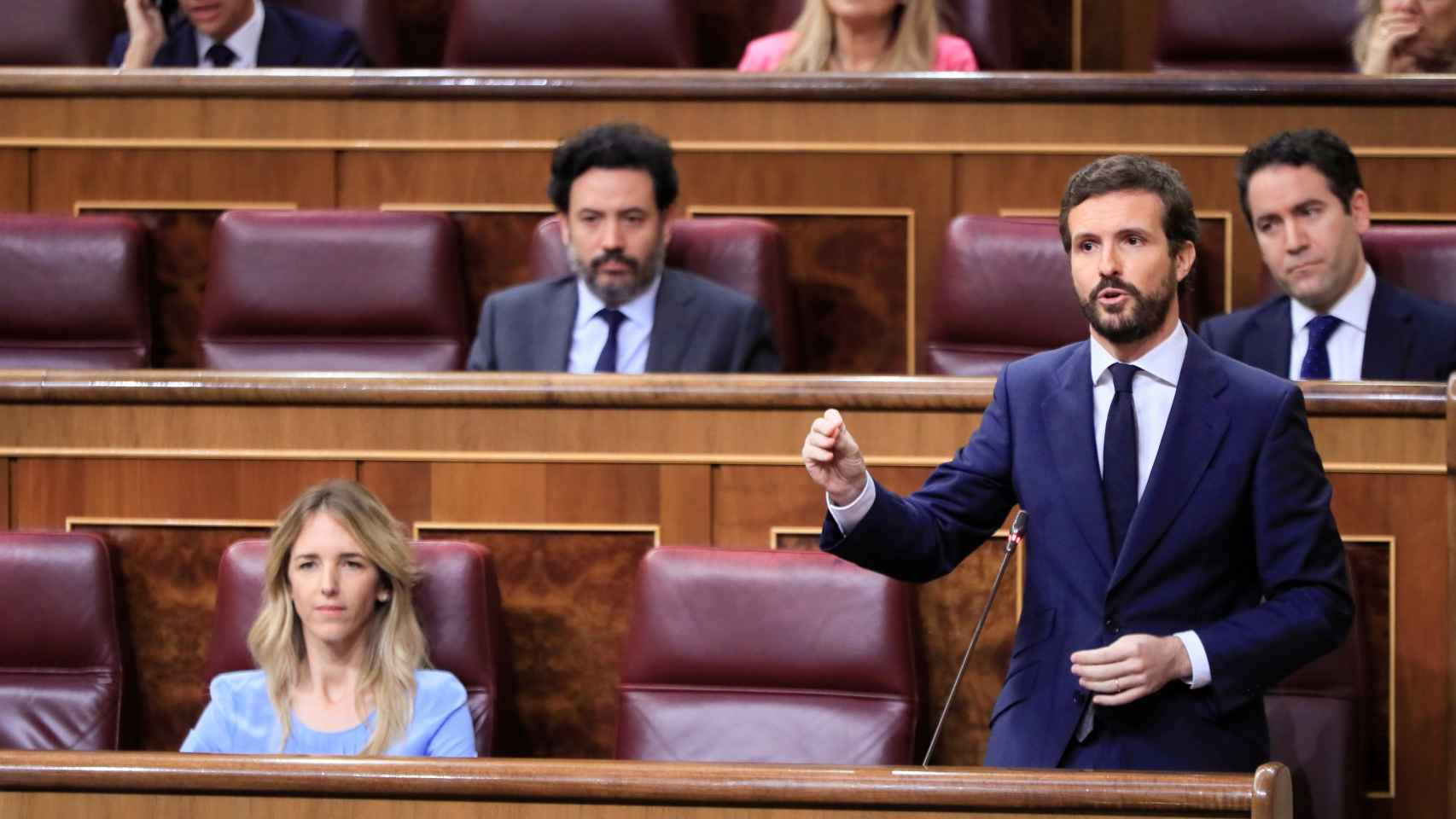Pablo Casado, presidente del PP, este miércoles en la sesión de control al Gobierno.