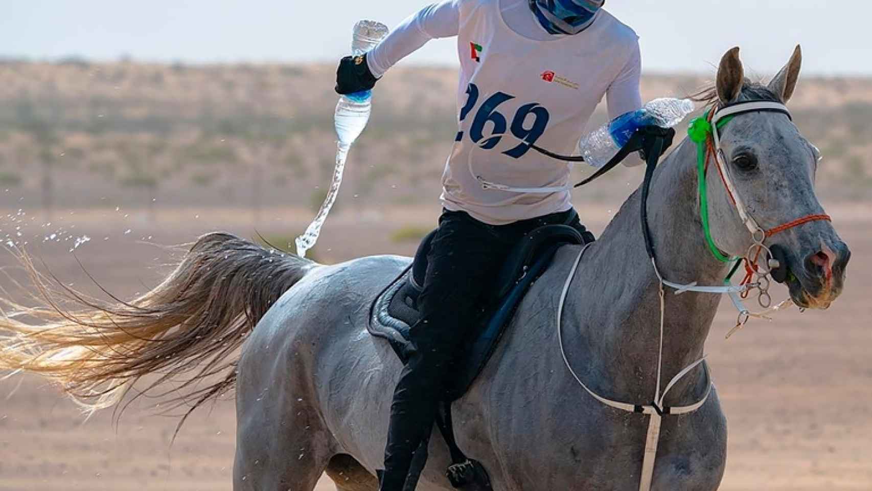 Jinete emiratí con su caballo durante una carrera