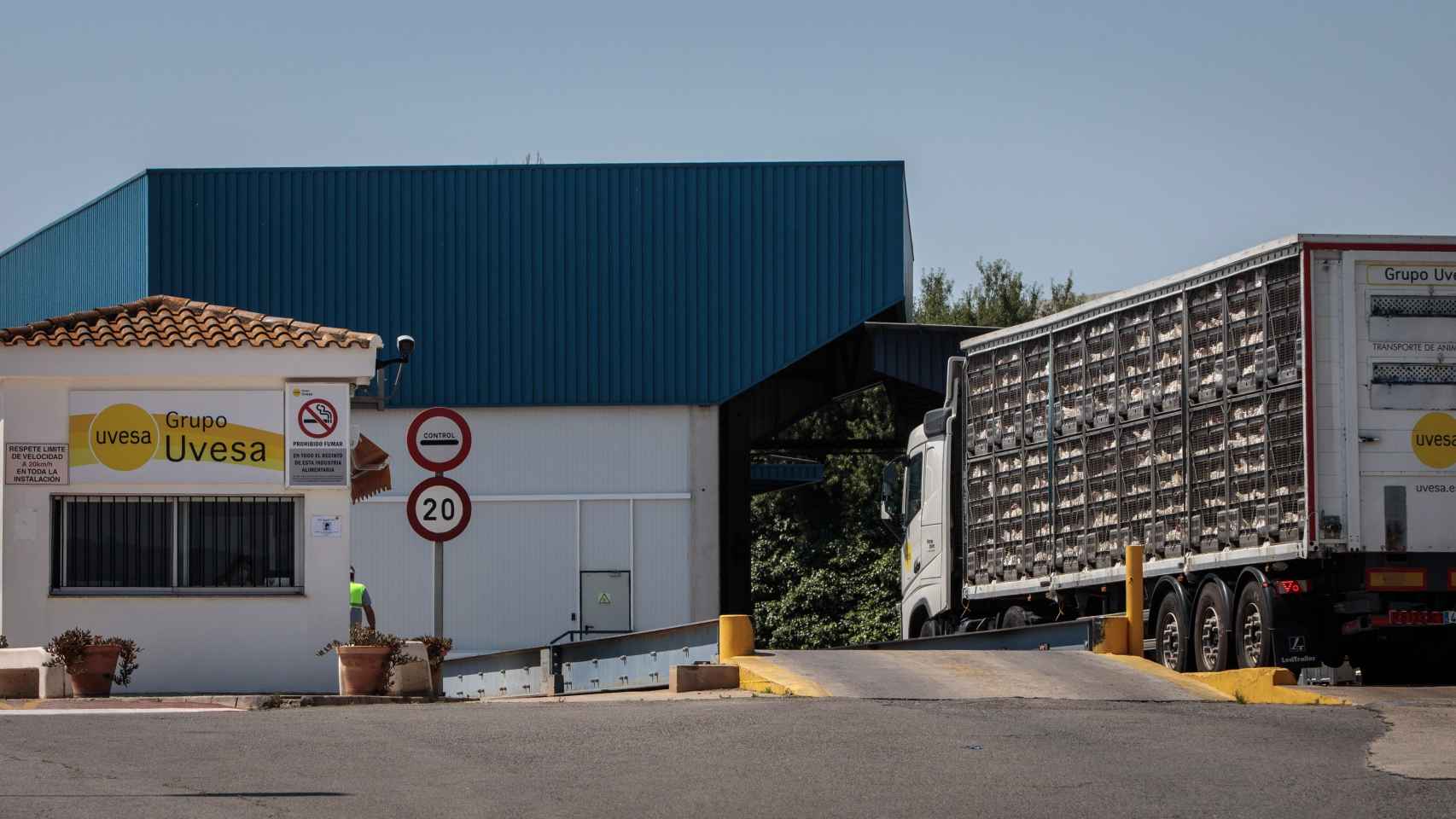Un camión con gallinas a la entrada de la empresa cárnica de Valencia donde se han diagnosticado 6 casos de coronavirus. (EFE)