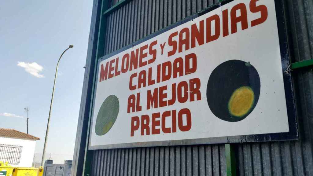 Hay en torno a 100 familias meloneras en Villaconejos.