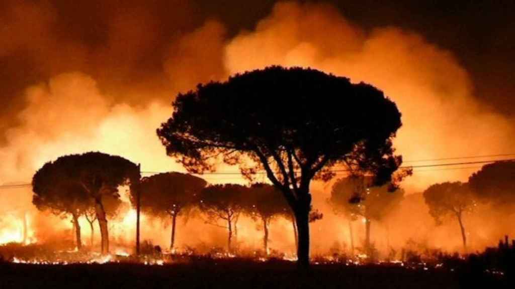 Imagen del incendio originado en 2017 en el entorno del Parque Nacional de Doñana.