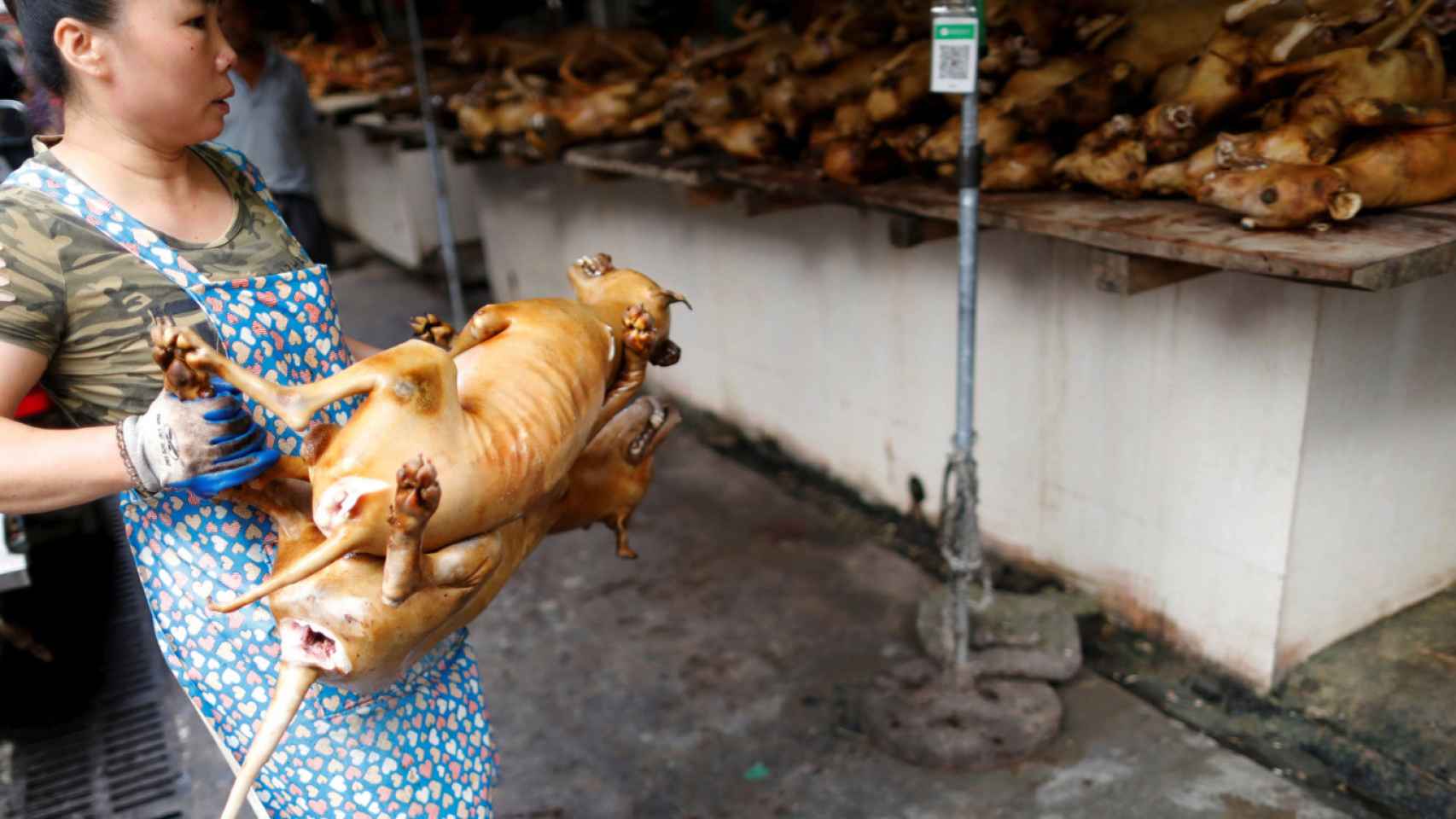 La ciudad china de Yulin celebra estos días su famoso festival de carne de perro.