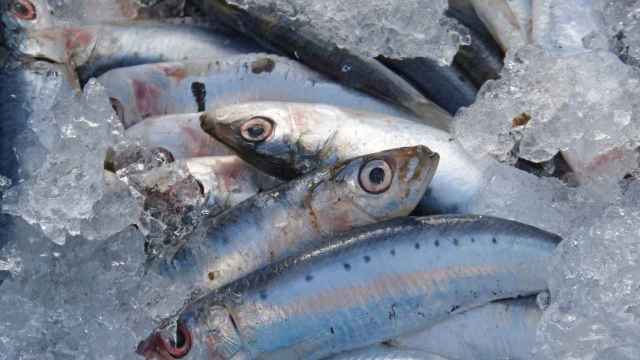 Una imagen de archivo de sardinas para la venta.