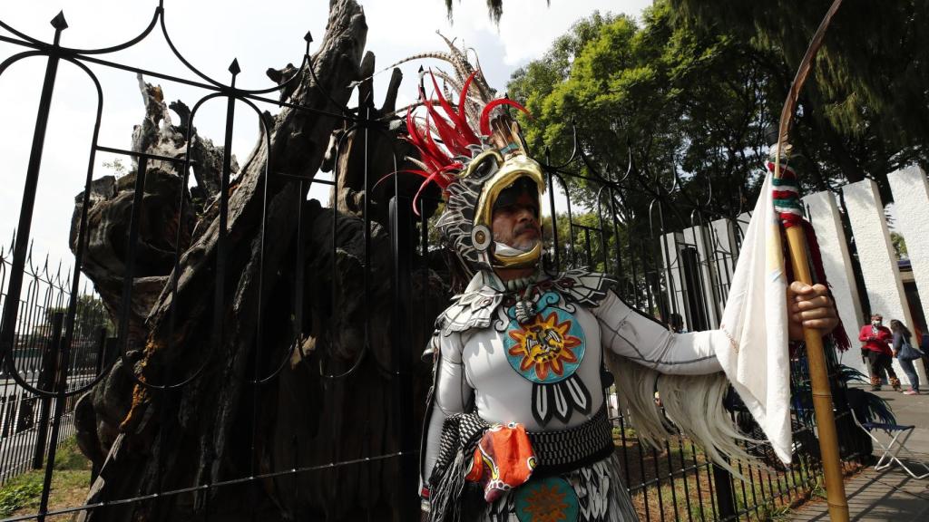Danzantes realizan rituales y danzas frente al Árbol de la Noche triste este martes en Ciudad de México.