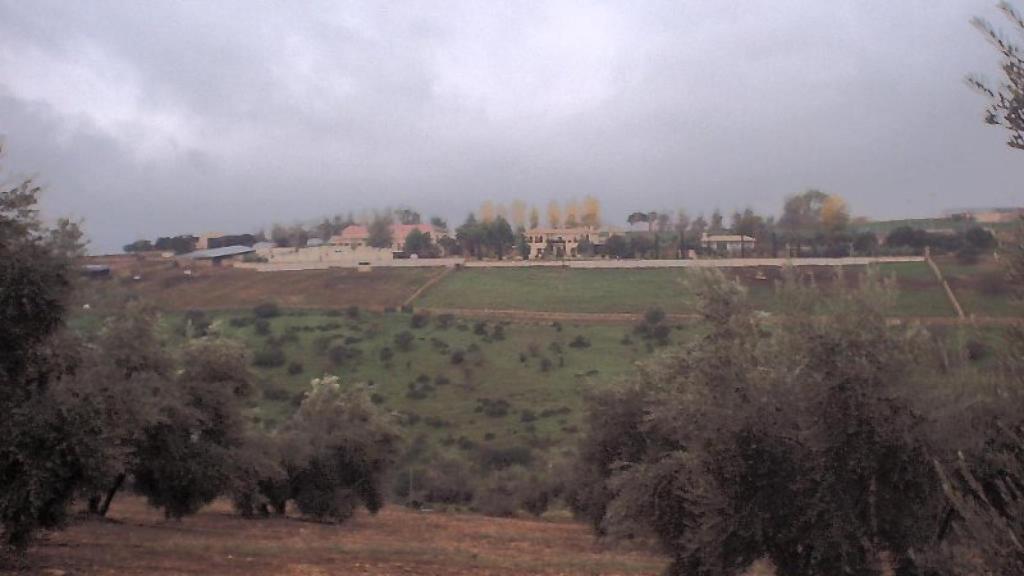 Finca Cetrina en Jaén.