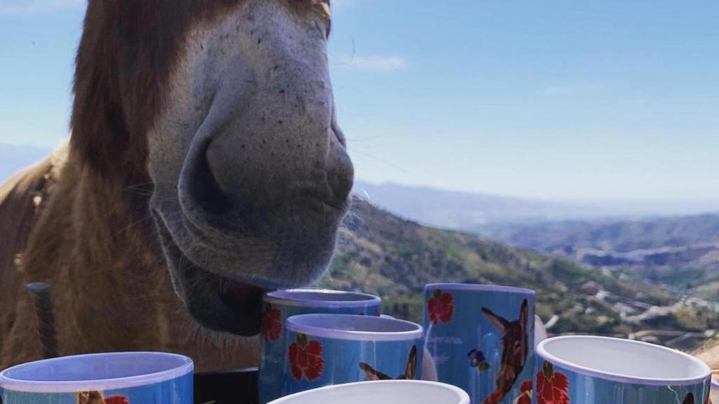 Baldomera, con las tazas realizadas con su imagen
