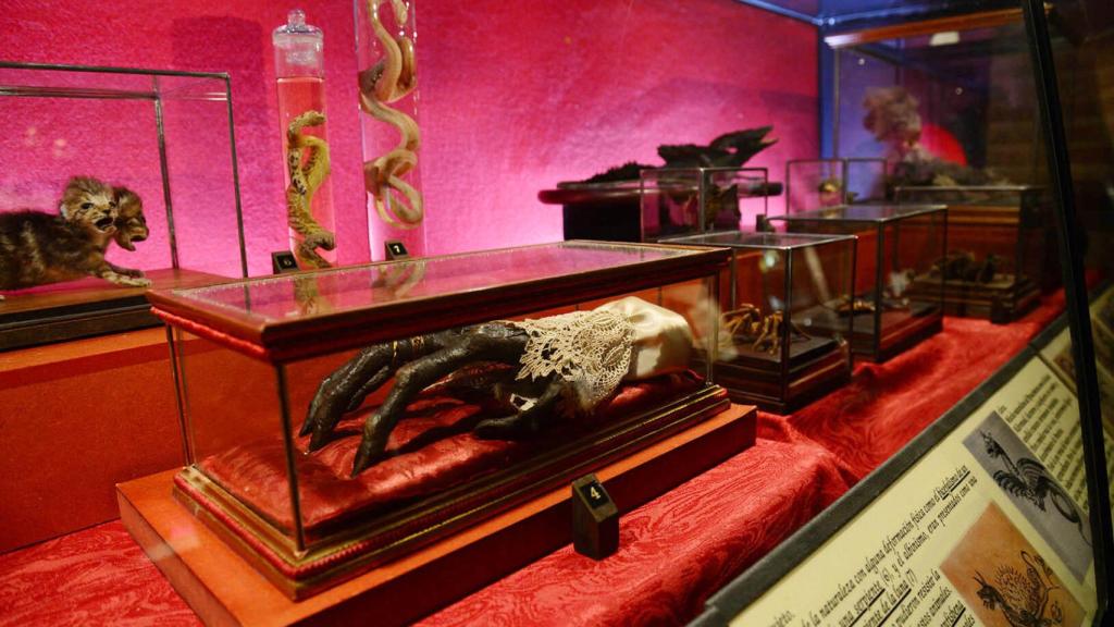 Exposición de brujería de Toledo