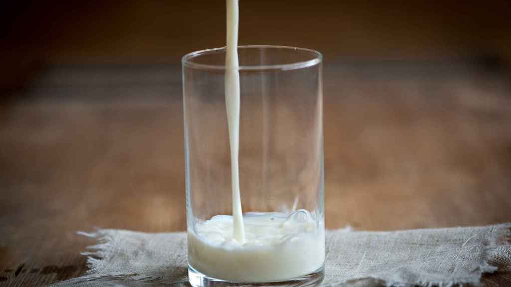 Un vaso de leche cruda, recién salida de la vaca.