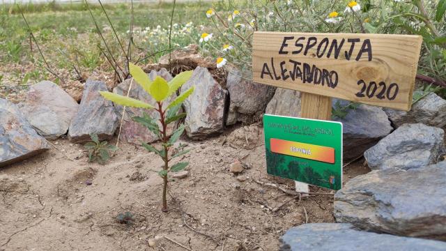 Castilla y León