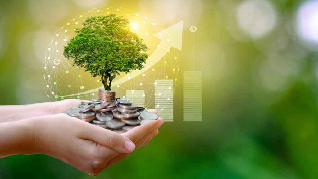 ¿Cuál es el futuro de la inversión sostenible tras la Covid-19?