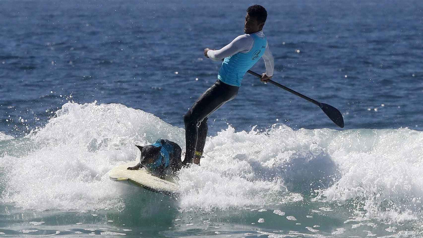 Un surfista junto a su perro practicando paddle surf