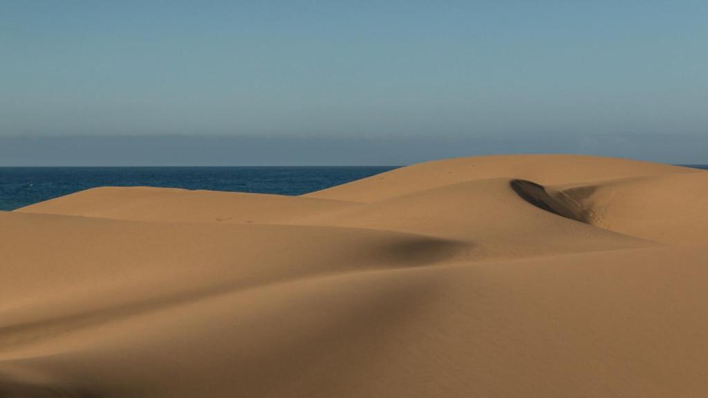 Playas de Maspalomas