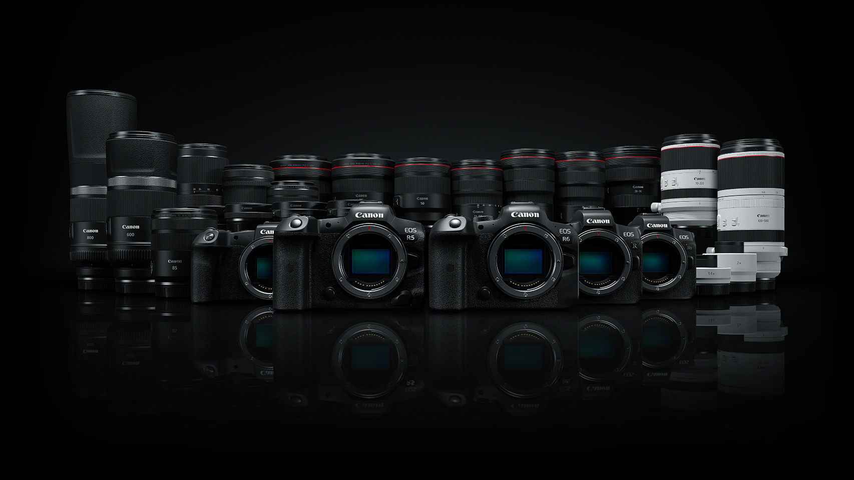 Nuevas Canon EOS R5 y EOS R6.