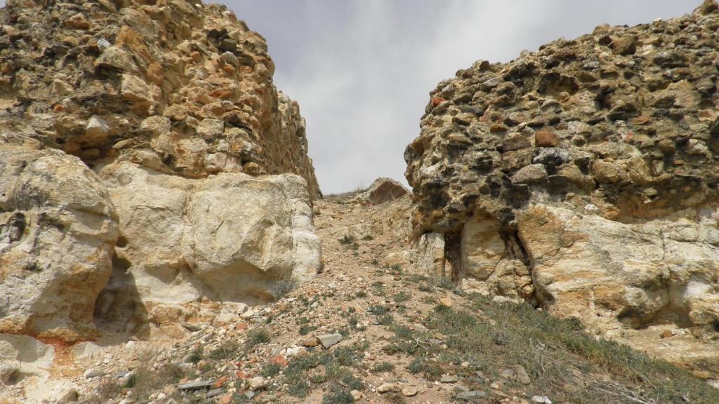 Ruinas del castillo de Carpio-Bernardo.