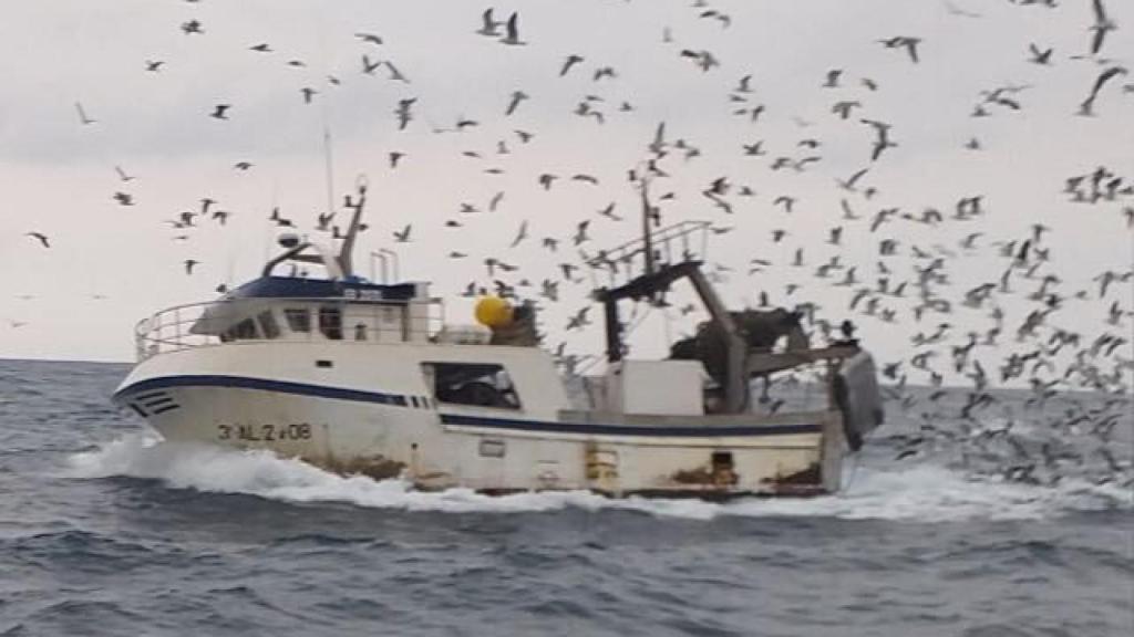 El barco 'Nuevo Rafael', hundido la semana pasada en aguas del mar de Alborán.