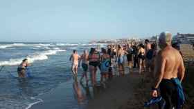 Guardia Civil y Policía Local coordinando a los turistas para rescatar a los bañistas