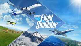 Microsoft Flight Simulator.