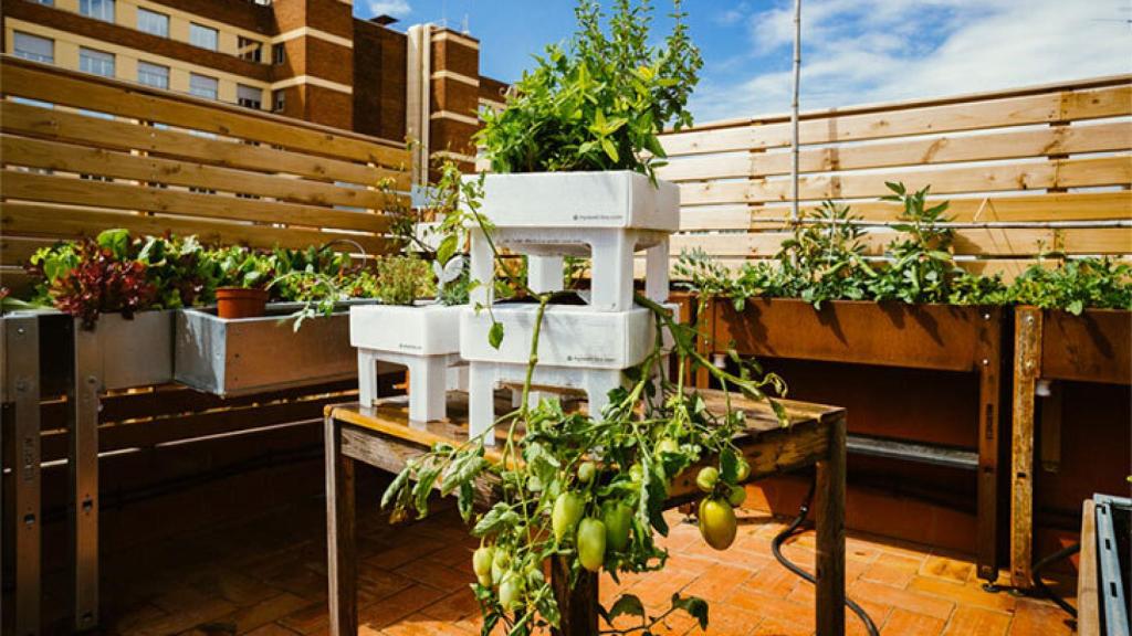 Imagen de mesa de cultivo de Ecohortum.