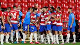 Jugadores y suplentes del Granada celebran el gol de Antonio Puertas ante el Athletic