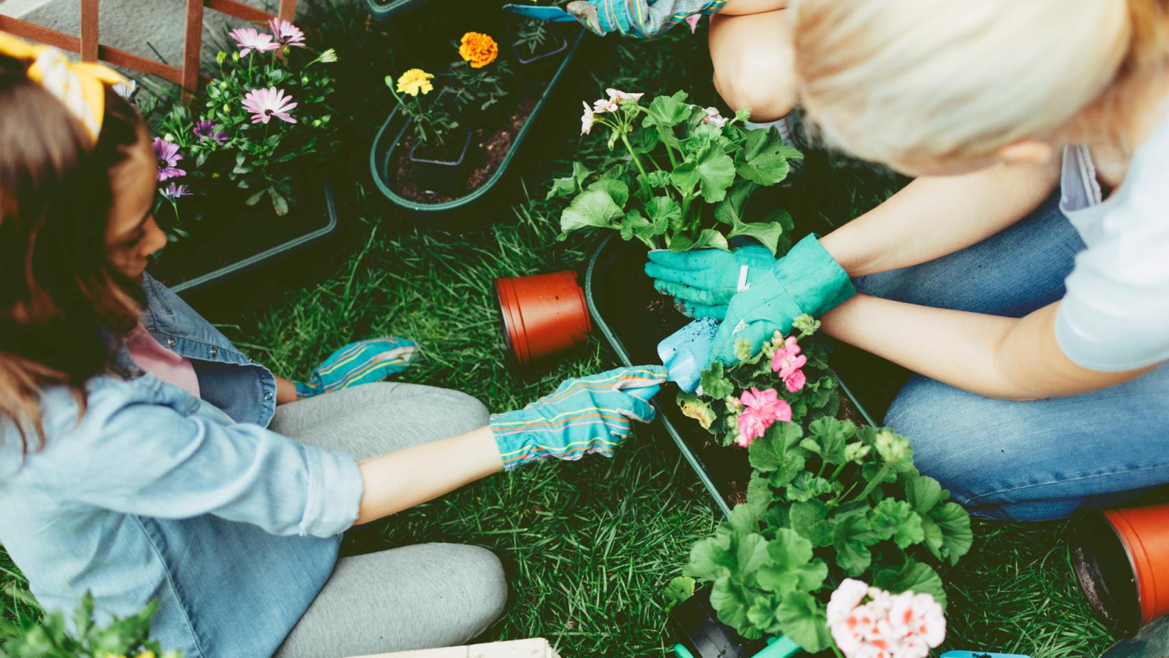 Herramientas de jardinería sostenibles para quienes nos preocupa el medio  ambiente - Jardinatis