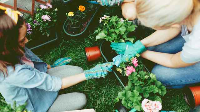 Los artículos de jardinería imprescindibles para tus plantas