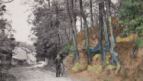 Montaje del lienzo Raíces de árbol y la postal del mismo lugar.