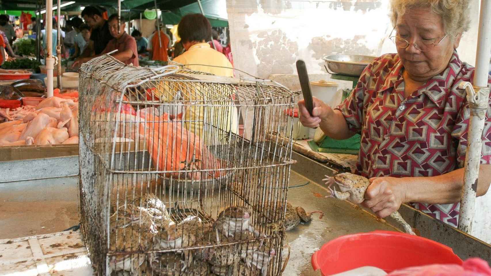 Una mujer china custodia una jaula con animales en un mercado.