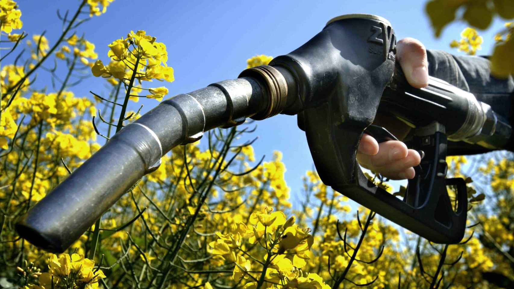 El Gobierno elevará el objetivo de biocarburantes al 9,5% en 2021 y al 10% en 2022