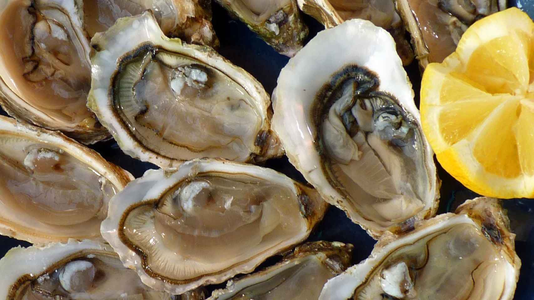 Fondos Frenesí panorama Microplásticos, combustibles y heces: las nuevas 'perlas' que se encuentran  en las ostras